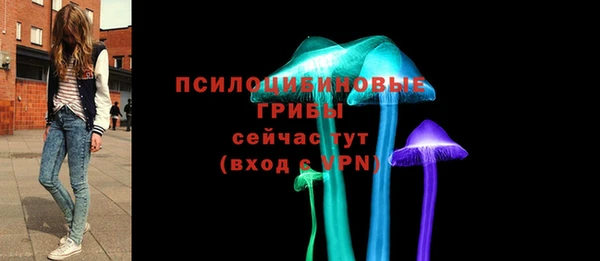 спиды Алексин