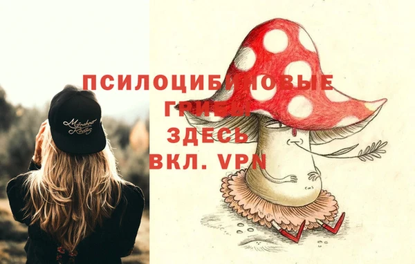 спиды Алексин